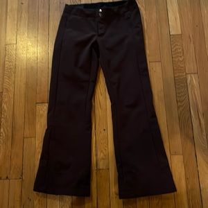 The North Face Ski Pants apex M